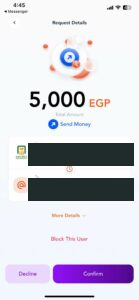 Published InstaPay request-details interface showing an EGP 5,000 request. Actual request legitimacy is not independently established.